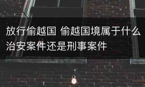 放行偷越国 偷越国境属于什么治安案件还是刑事案件