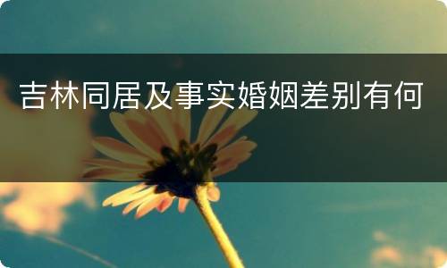 吉林同居及事实婚姻差别有何