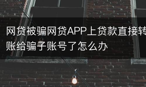 网贷被骗网贷APP上贷款直接转账给骗子账号了怎么办