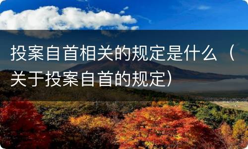 投案自首相关的规定是什么（关于投案自首的规定）