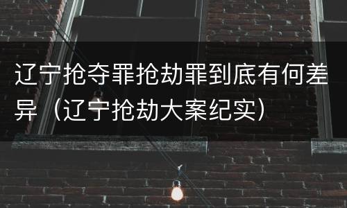 辽宁抢夺罪抢劫罪到底有何差异（辽宁抢劫大案纪实）
