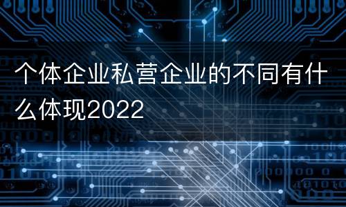 个体企业私营企业的不同有什么体现2022