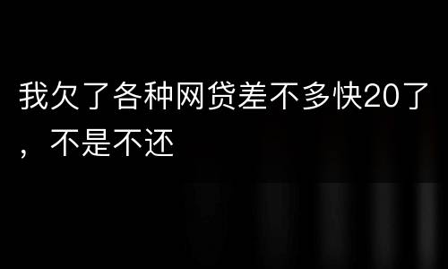 我欠了各种网贷差不多快20了，不是不还