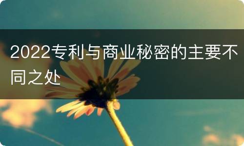 2022专利与商业秘密的主要不同之处