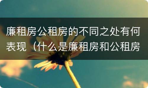 廉租房公租房的不同之处有何表现（什么是廉租房和公租房两个有什么特点）