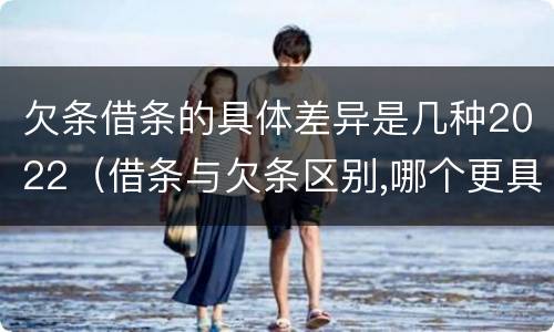欠条借条的具体差异是几种2022（借条与欠条区别,哪个更具法律）
