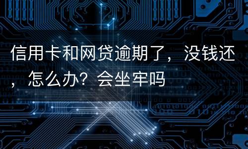 信用卡和网贷逾期了,没钱还,怎么办?会坐牢吗