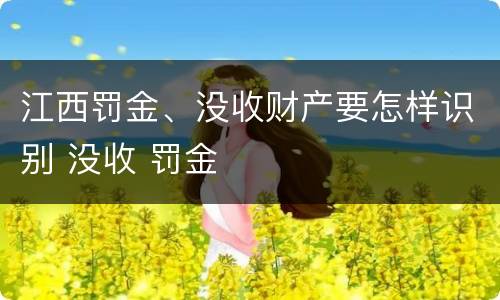 江西罚金、没收财产要怎样识别 没收 罚金
