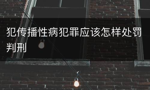 犯传播性病犯罪应该怎样处罚判刑