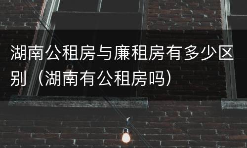 湖南公租房与廉租房有多少区别（湖南有公租房吗）