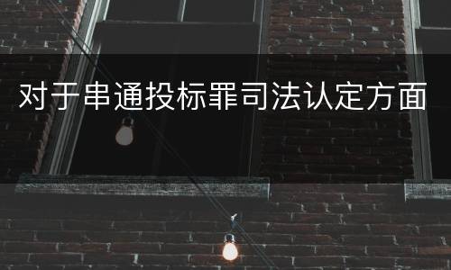对于串通投标罪司法认定方面