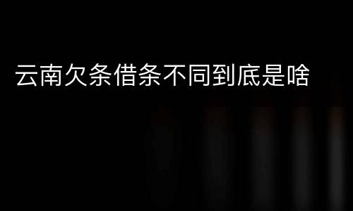 云南欠条借条不同到底是啥