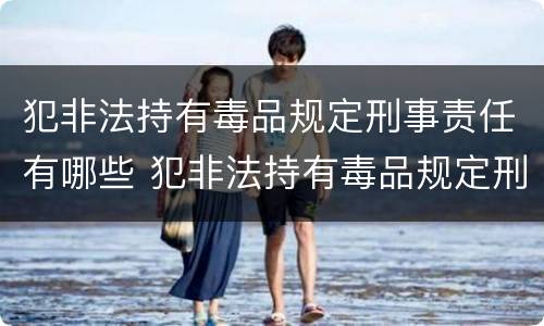 犯非法持有毒品规定刑事责任有哪些 犯非法持有毒品规定刑事责任有哪些情形