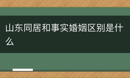 山东同居和事实婚姻区别是什么