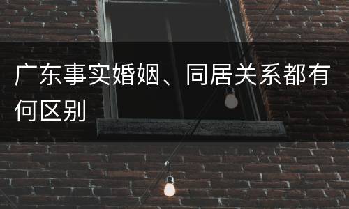 广东事实婚姻、同居关系都有何区别