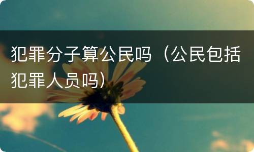 犯罪分子算公民吗（公民包括犯罪人员吗）