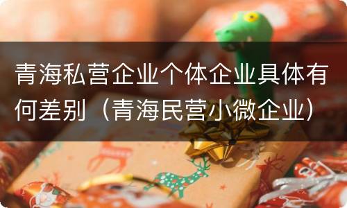 青海私营企业个体企业具体有何差别（青海民营小微企业）
