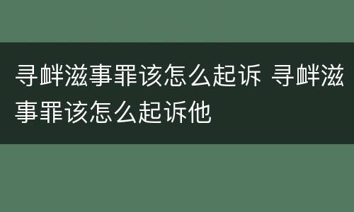 寻衅滋事罪该怎么起诉 寻衅滋事罪该怎么起诉他