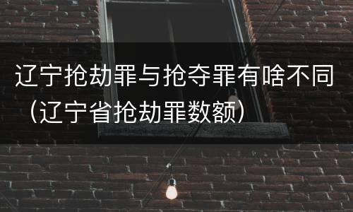 辽宁抢劫罪与抢夺罪有啥不同（辽宁省抢劫罪数额）