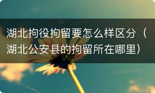 湖北拘役拘留要怎么样区分（湖北公安县的拘留所在哪里）