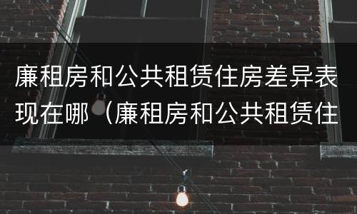 廉租房和公共租赁住房差异表现在哪（廉租房和公共租赁住房差异表现在哪些方面）