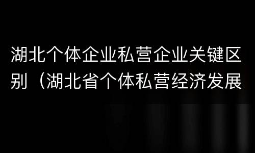 湖北个体企业私营企业关键区别（湖北省个体私营经济发展中心）