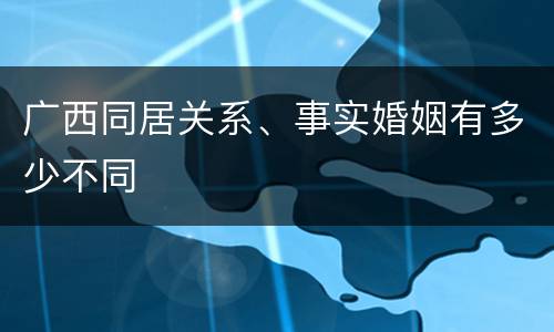 广西同居关系、事实婚姻有多少不同