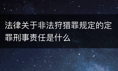 法律关于非法狩猎罪规定的定罪刑事责任是什么