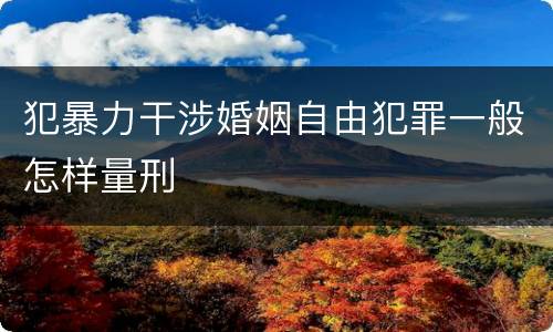 犯暴力干涉婚姻自由犯罪一般怎样量刑
