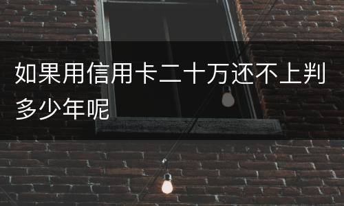 如果用信用卡二十万还不上判多少年呢