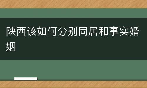 陕西该如何分别同居和事实婚姻