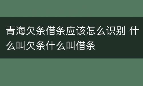 青海欠条借条应该怎么识别 什么叫欠条什么叫借条