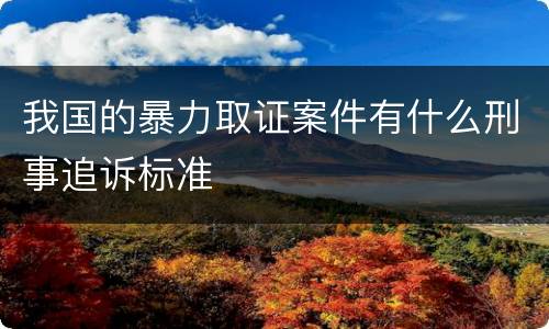我国的暴力取证案件有什么刑事追诉标准