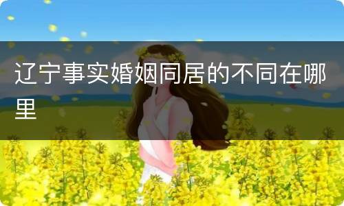 辽宁事实婚姻同居的不同在哪里