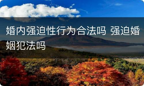 婚内强迫性行为合法吗 强迫婚姻犯法吗