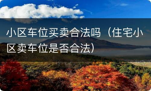 小区车位买卖合法吗（住宅小区卖车位是否合法）