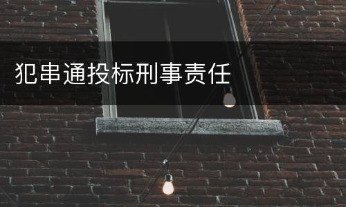 犯串通投标刑事责任