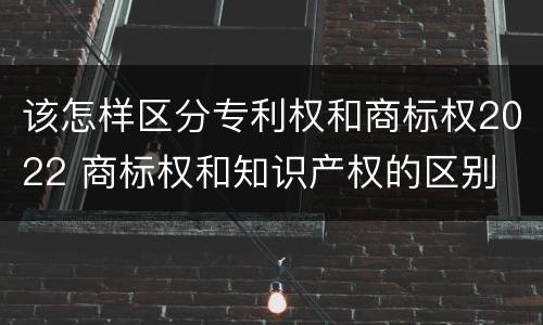 该怎样区分专利权和商标权2022 商标权和知识产权的区别