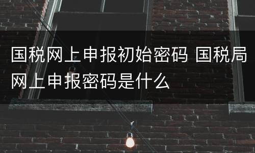国税网上申报初始密码 国税局网上申报密码是什么