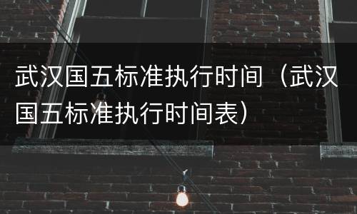 武汉国五标准执行时间（武汉国五标准执行时间表）