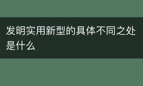 发明实用新型的具体不同之处是什么