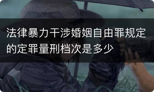 法律暴力干涉婚姻自由罪规定的定罪量刑档次是多少