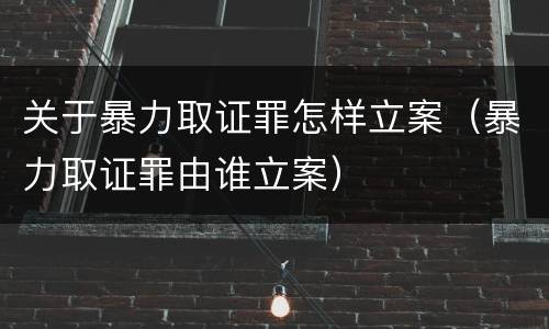 关于暴力取证罪怎样立案（暴力取证罪由谁立案）
