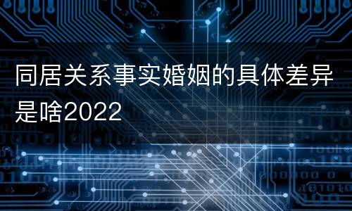 同居关系事实婚姻的具体差异是啥2022