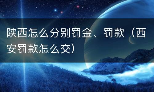 陕西怎么分别罚金、罚款（西安罚款怎么交）