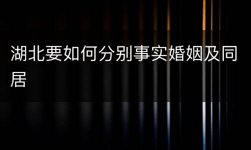 湖北要如何分别事实婚姻及同居