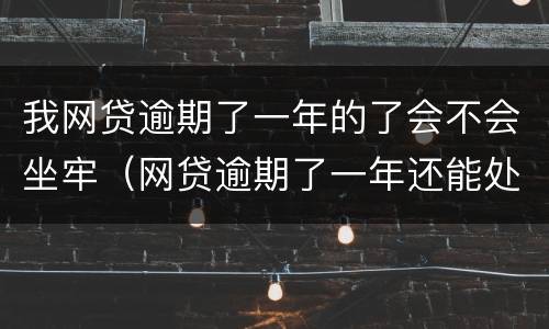 我网贷逾期了一年的了会不会坐牢（网贷逾期了一年还能处理吗?）
