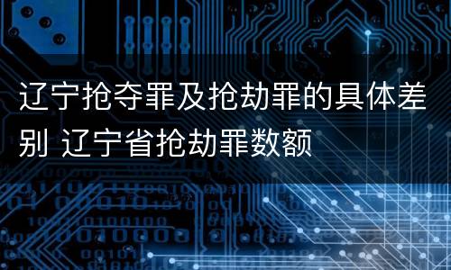 辽宁抢夺罪及抢劫罪的具体差别 辽宁省抢劫罪数额