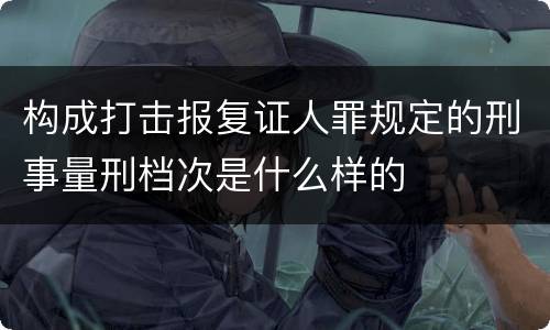 构成打击报复证人罪规定的刑事量刑档次是什么样的
