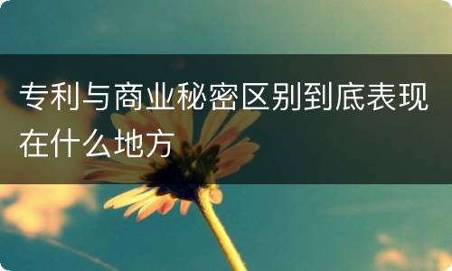 专利与商业秘密区别到底表现在什么地方